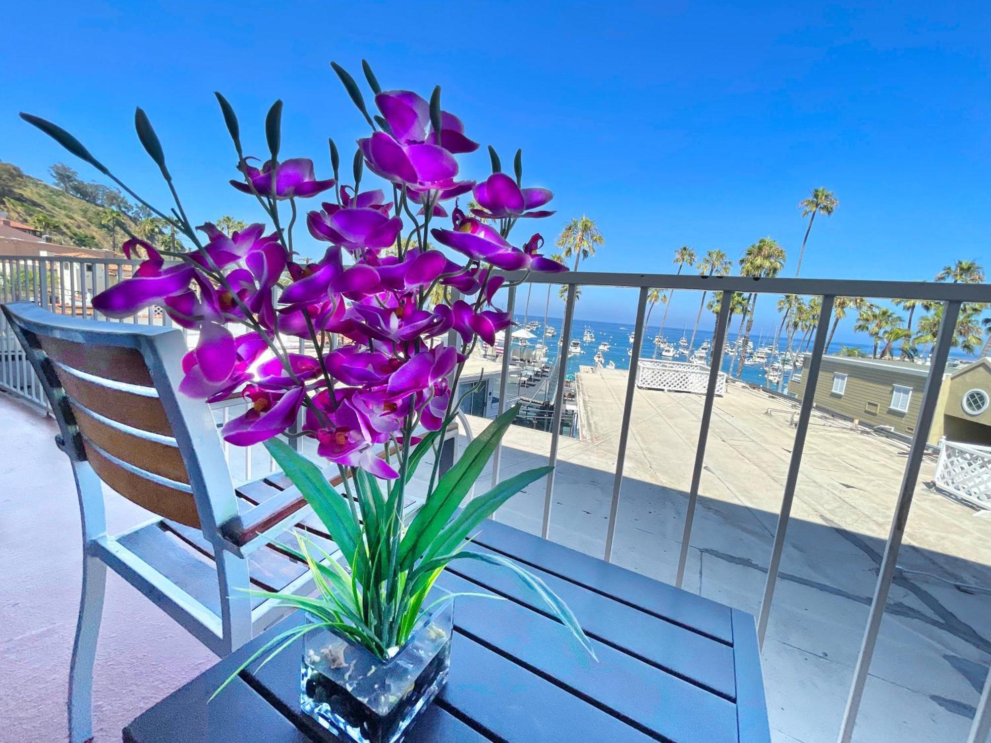 Catalina Courtyard Suites アバロン エクステリア 写真