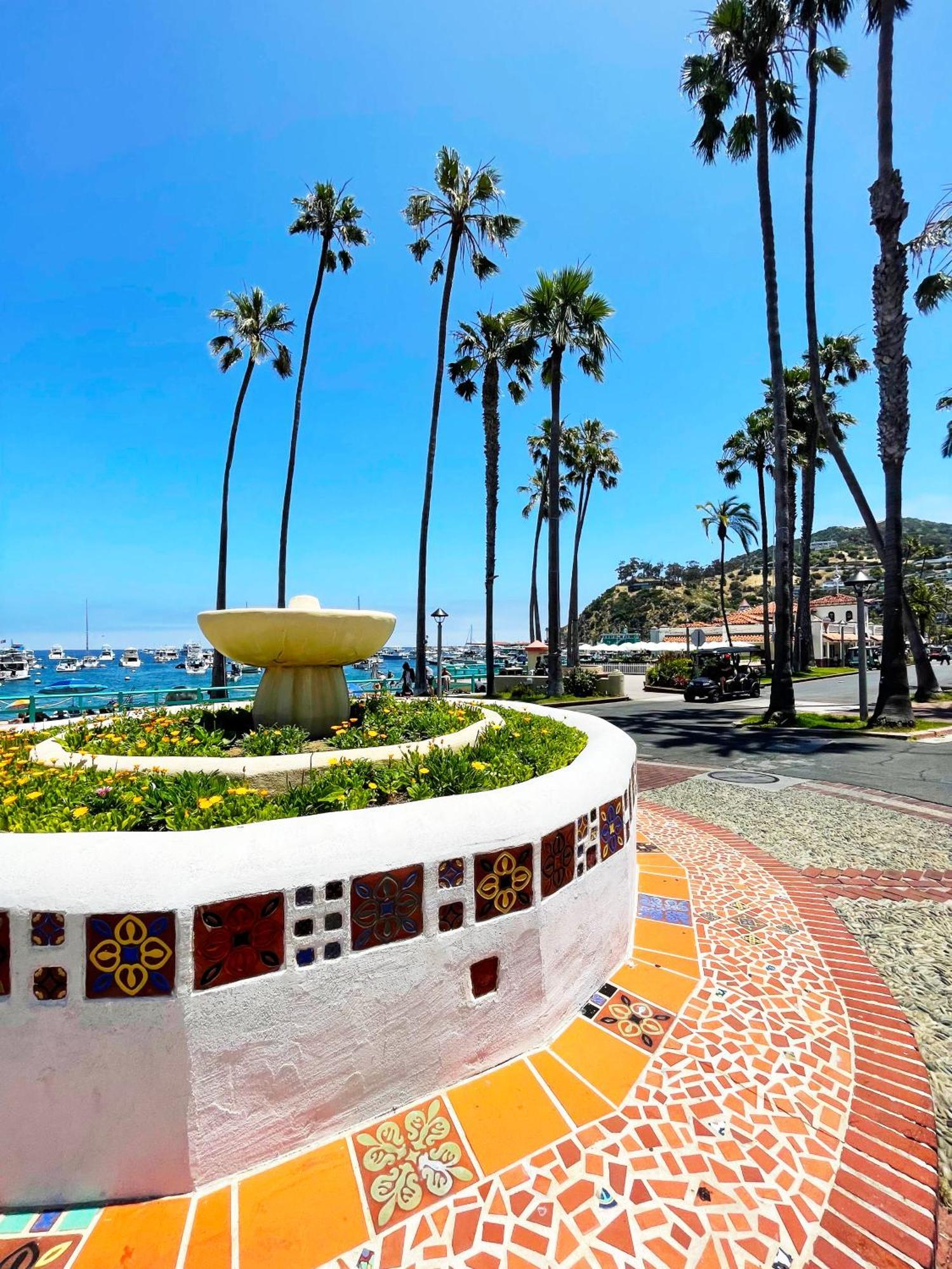 Catalina Courtyard Suites アバロン エクステリア 写真
