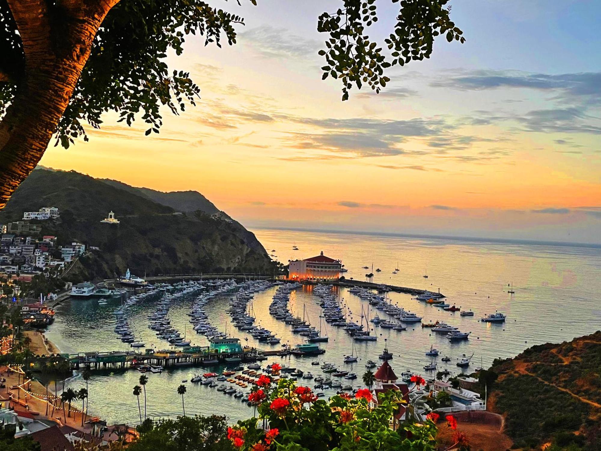 Catalina Courtyard Suites アバロン エクステリア 写真